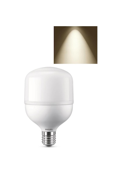 Philips TrueForce Core 24W Torch Led Ampul Cool White Günışığı 40
