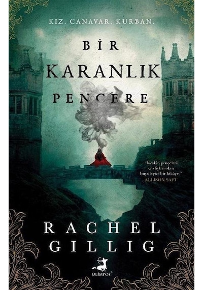 Bir Karanlık Pencere Karton Kapak / Rachel Gillig