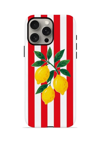 iPhone Uyumlu15 Pro Max Valestra Çift Katmanlı Magsafe Kılıf Liodor