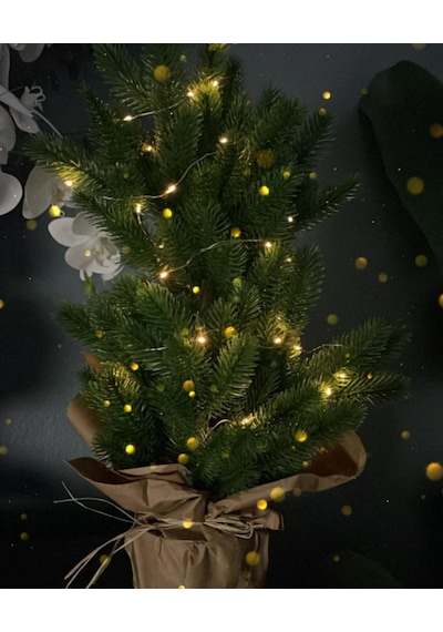 Yılbaşı Ağacı Led Işıklı Yapay Çam Ağacı Kraft Saksıda 55cm