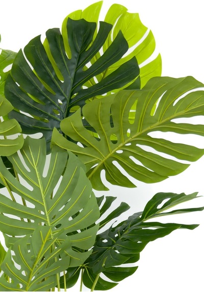 Yapay Monstera Ağacı Deve Tabani 170 Cm Si Yah Gold Darbuka Saksıda Siyah Gold