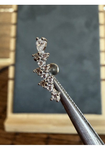 %100 316 L Cerrahi Çelik Pırlanta Modeli Zarif Labret Piercing Altın