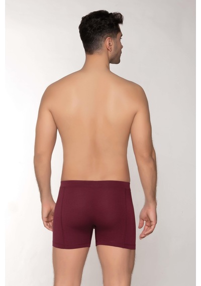 Dowry Erkek Modal Boxer Gizli Lastikli Bordo Bordo