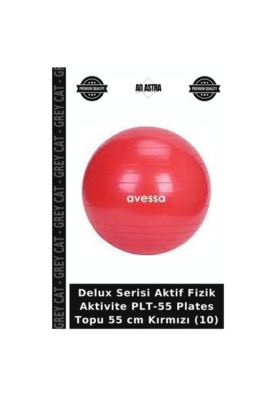 Delux Serisi Aktif Fizik Aktivite Plt-55 Plates Topu 55 Cm Kırmızı 10