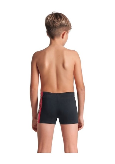 Boy's Arena Palette Swım Short Coçuk Yüzücü Mayosu Çok Renkli