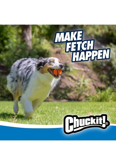 Ayrex Chuckit Fetch Medley Gen 3 Ultra Ball, Fetch Ball, Rugged Ball 3'lü Köpek Oyun Topu Seti Orta Boy