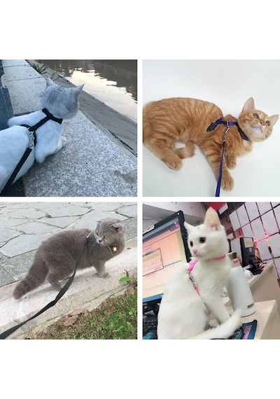 Kedi Göğüs Tasma Düz Renk 1x120 CM