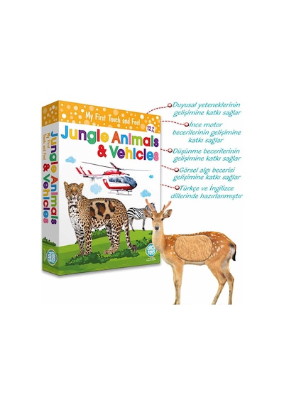 Circle Toys Dokun Hisset Vahşi Hayvanlar