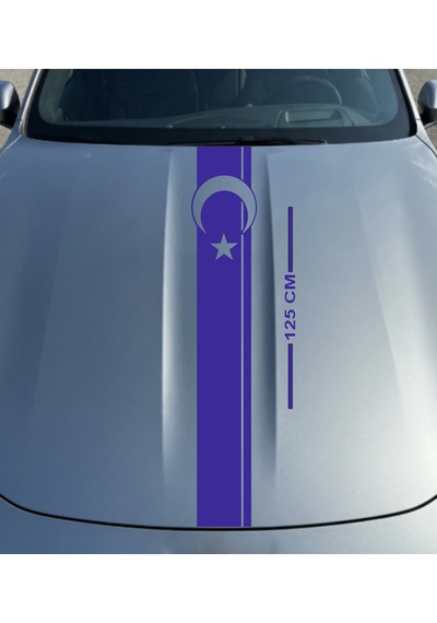 Kaput Bayrak Desenli Şerit Sticker Model -1 Mavi