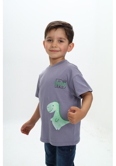 Toontoy Kids Toontoy Erkek Çocuk Dinazor Yazı Baskılı Tişört Gri