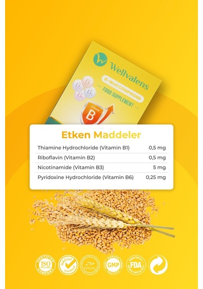 B Well Compound B1 B2 B3 B6 Vitaminleri İçeren 90 Tablet