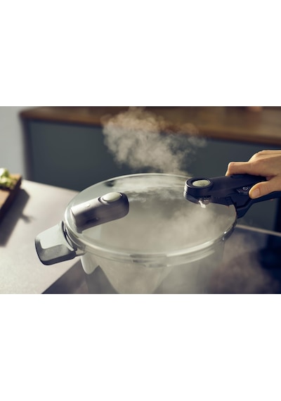 Fissler Vitaquick Elemental 3.5 Litre Düdüklü Tencere Görseldeki Renk