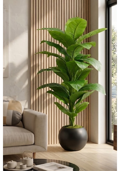 Cihan Çiçekçilik 160 Cm Yapay Difenbahya Ağacı - 30x30 Küre Saksılı Siyah