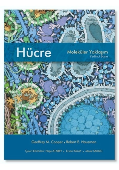 Hücre Moleküler Yaklaşım 7. Baskı  Ciltsiz