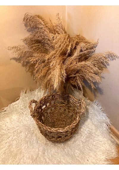 Küçük Boy Kulplu Delikli Hasır Sepet / Düzenleyici / Saksılık Diğer