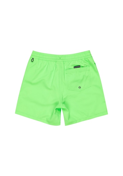 Quıksılver Quiksilver Everyday Solid Yth 14 Erkek Çocuk Yeşil Volley Short Ggy0