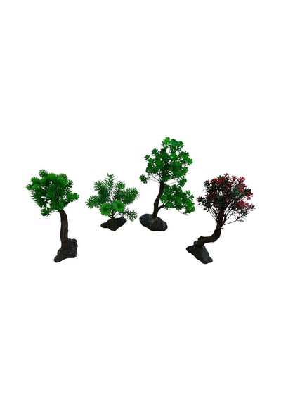 Bonsai Ağaç Akvaryum Bitki Küçük