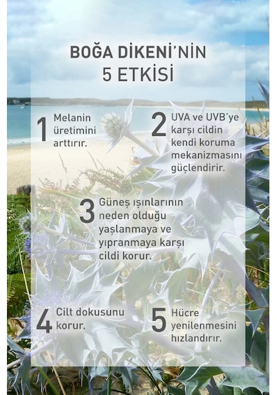 Yves Rocher Güneş Sonrası  Yüz Kremi 30 ML