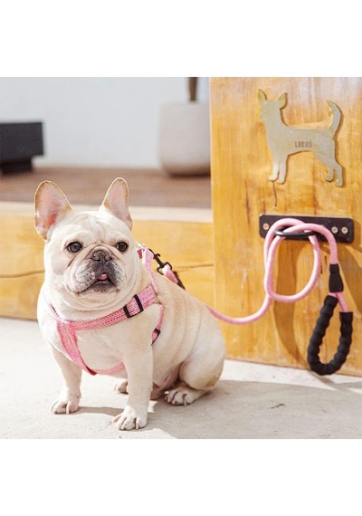 Küçük Köpek Tasması S 0.6cm - Küçük Boy - Göğüs Kemerli, Tutma Saplı Ayarlanabilir Yaka Bağı Gri