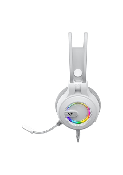 Havit Gamenote H2040D Rgb Gaming Mikrofonlu Oyuncu Kulaklığı