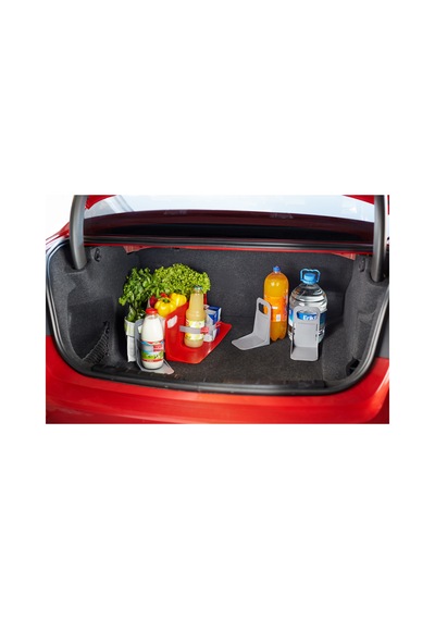 Cargonizer Bagaj Düzenleyici Large Paket Gri