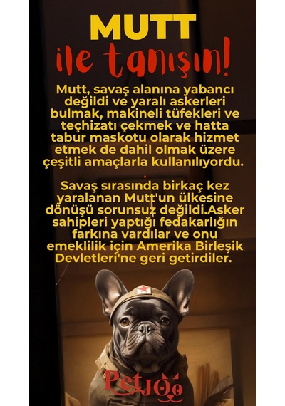 Petjoo 10.Mutt Kırmızı-Sarı Qr'lı Köpek Künyesi