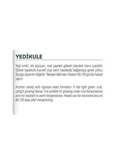 AGRodal Tarım Ata Tohumu Yerli Doğal Marul Yedıkule 1000 Ad Tohum