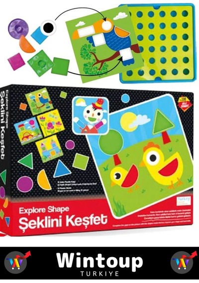 Özel Seri El Becerisi Geliştirici Renkleri Tanıma Parça Bütün İlişkisi Geliştirici Şeklini Keşfet