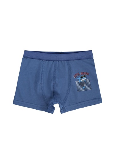 Civil Boys Shark 2-10 Yaş Erkek Çocuk 2'li Boxer - Standart