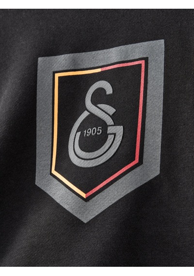 Gsstore Galatasaray Kadın Hoodie K252151 Antrasit