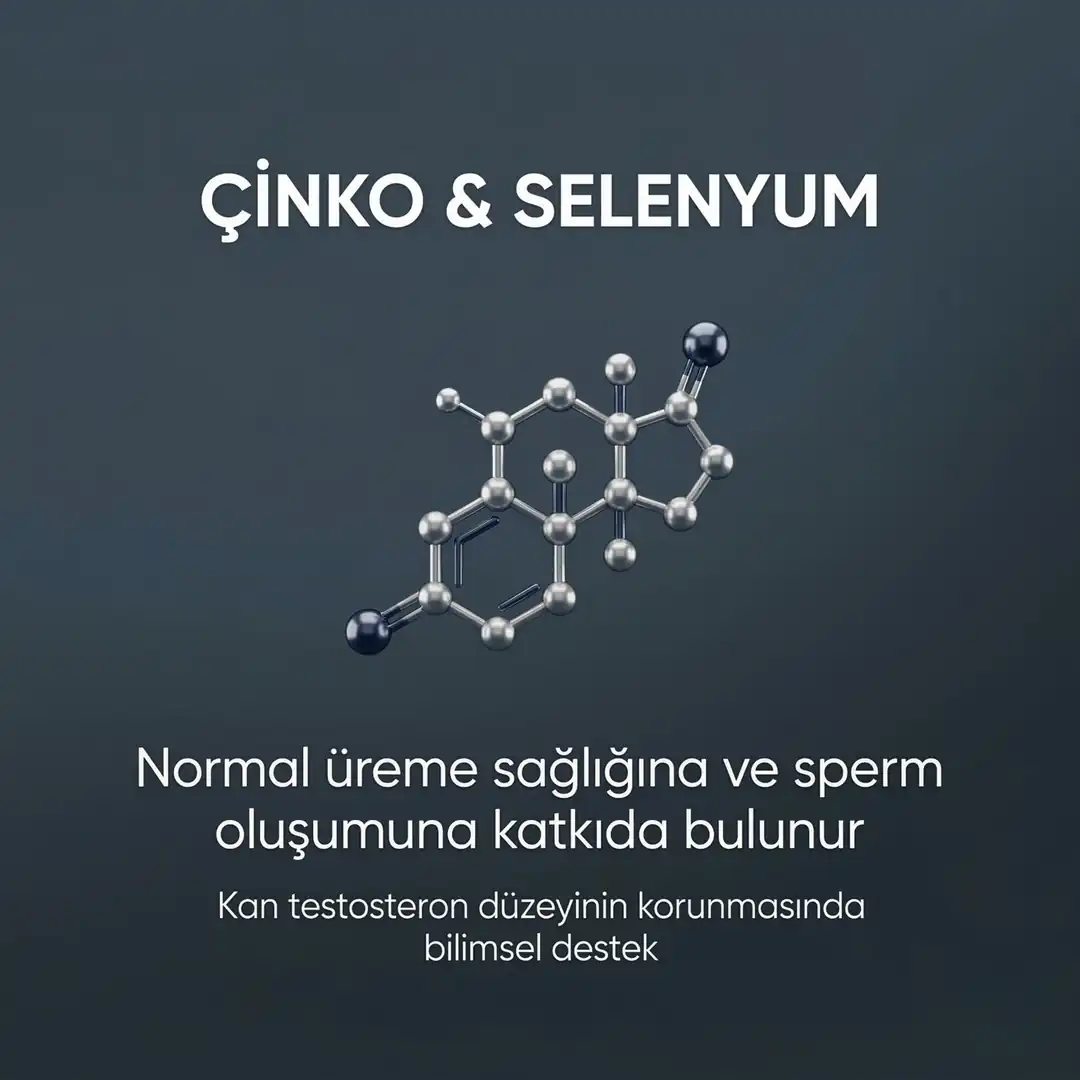 Faynmen Erkeklere Özel L-karnitin, L-arjinin, Koenzim Q10 Ve Multivitamin 30 Saşe Takviye Edici Gıda