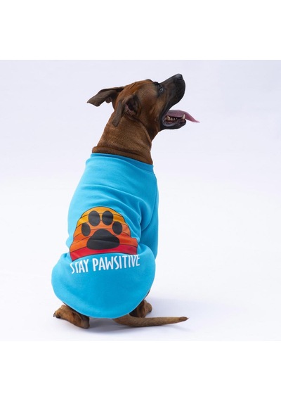 Turkuaz Carmel Büyük Irk Köpek Sweat-köpek Kıyafeti