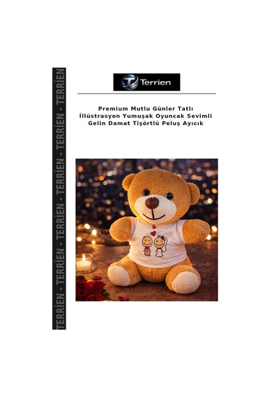 Premium Mutlu Günler Tatlı İllüstrasyon Yumuşak Oyuncak Sevimli Gelin Damat Tişörtlü Peluş Ayıcık Çok Renkli