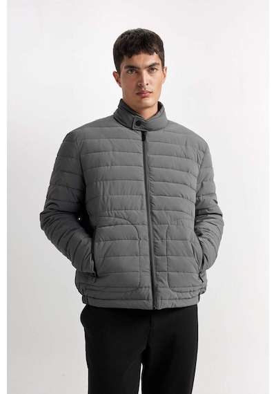 DeFacto Slim Fit Dar Kesim Dik Yaka Fermuarlı Mont D7497AX25SPGR221