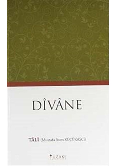 Divane - Tali Mustafa Asım Küçükaşçı - Yüzakı Yayıncılık