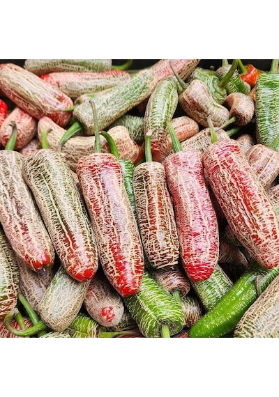 Nadir Doğal Jalapeno Farmers Biber Tohumu 10 Tohum