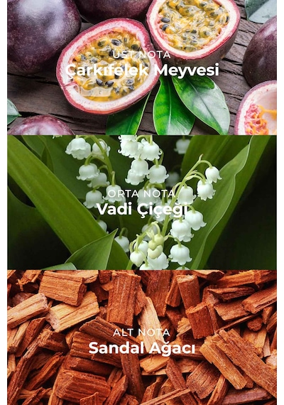 Armasari Nova Kirkia Edp Kalıcı Erkek Parfüm 100ml Meyveli Ve Çiçeksi Armut, Frenk Üzümü, Misk, Sandal Meyve - Odunsu
