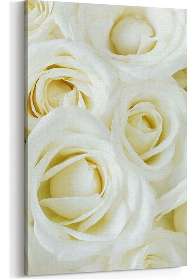 Olla 60x90 Cm 11646d Çiçek Görseli Dikey Kanvas Tablo