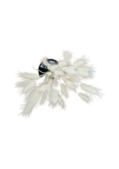 Serada Decor Plant Kuru Çiçek Pamuk Otu Demeti 35-40 Cm Beyaz