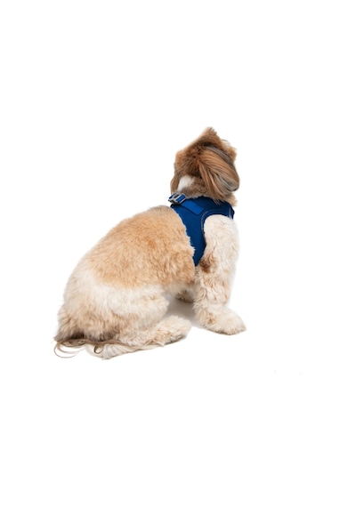 Air-Mesh Küçük ve Orta Irk Kedi Köpek Göğüs Tasması - Yumuşak, Nefes Alabilir, Dayanıklı LACİVERT XL