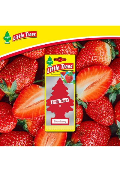 Car Freshner Asma Koku 12'li Çilek