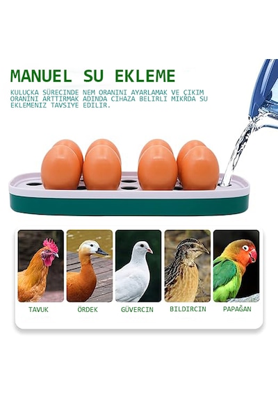 Altın Kuluçka-wonegg 8'li Mini Kuluçka Makinesi