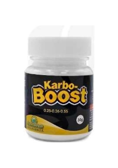 Green Planet Karbo Boost 30 G Diğer