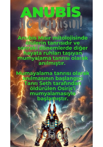 Petjoo 30.Anubis Gri-Yeşil Qr'lı Köpek Künyesi