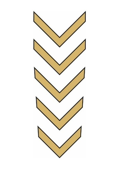 Cg Gold Çamurluk Üst Sticker Standart