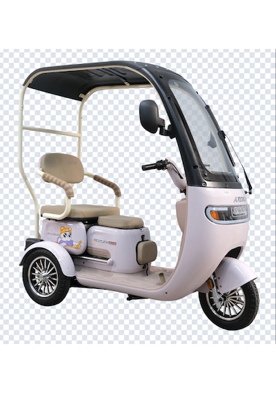 Arora Rüzgar Pro 650 W 60 V 20 AH 3 Tekerlekli Elektrikli Motosiklet Lila