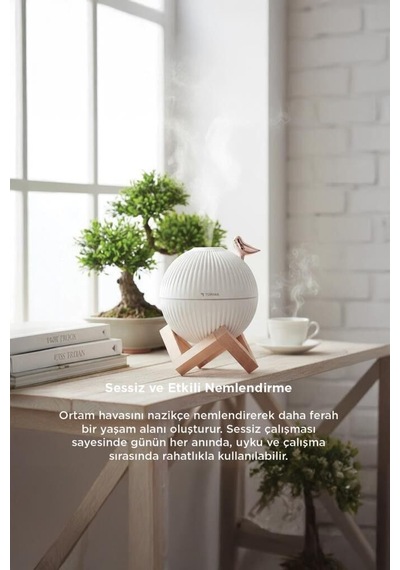 Premium H13 Kuş Figürlü Ahşap Standlı Hava Ofis Oda Kreş