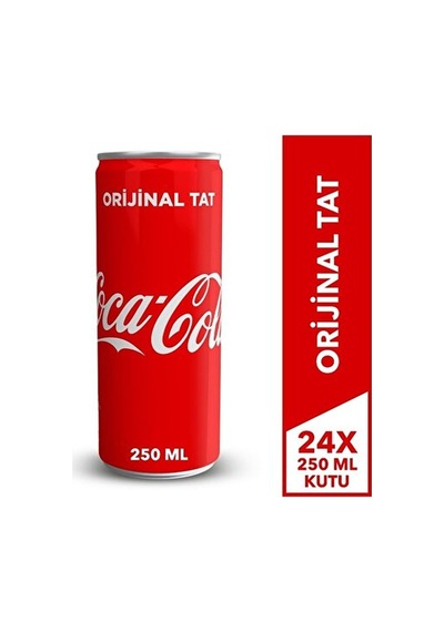 Coca Cola 250 Ml Kutu, 24'lü Paket 1 L