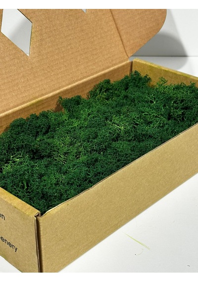 Reindermoss Şoklanmış Norveç Yosunu Terarium Yosunu Forest Green 5 Kg.