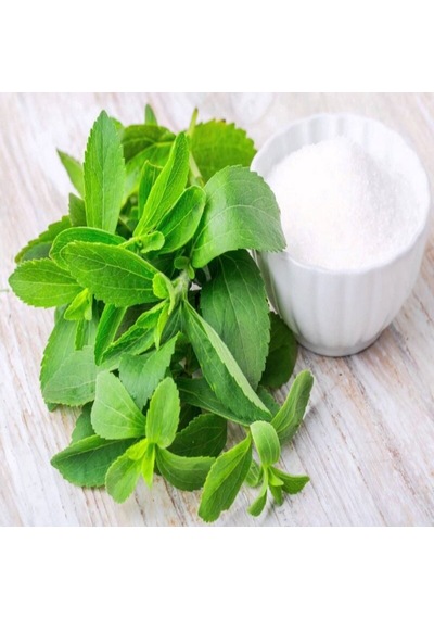 Doğal Tıbbı Aromatik Şeker Otu Stevia Fidesi 3 Adet